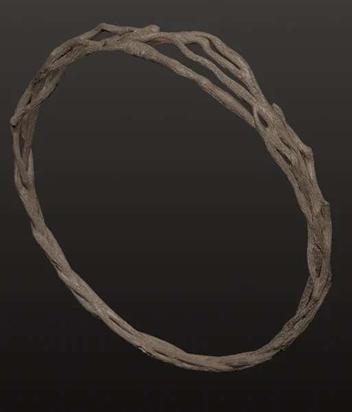 Ring Deisgn